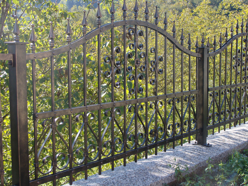 Dvoriščna ograja 19